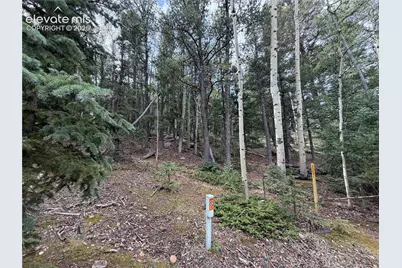 118 Will Stutley Drive, Divide, CO 80814 - Photo 2