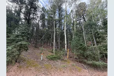 118 Will Stutley Drive, Divide, CO 80814 - Photo 1