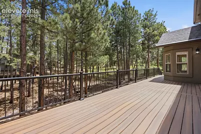 164 Metcalf Lane, Monument, CO 80132 - Photo 6
