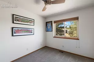 290 Taopi Cir, Woodland Park, CO 80863 - Photo 18