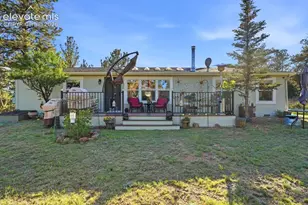 61 Forge Dr, Florissant, CO 80816 - Photo 12