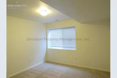 7860 Antelope Valley Point, Colorado Springs, CO 80920 - Photo 12