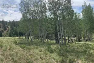 79 Beaver Creek Cir, Florissant, CO 80816 - Photo 34