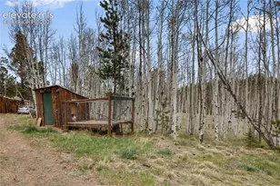 79 Beaver Creek Cir, Florissant, CO 80816 - Photo 4