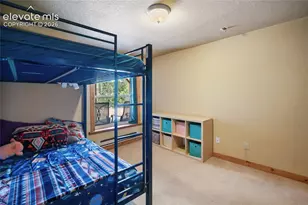 79 Beaver Creek Cir, Florissant, CO 80816 - Photo 20