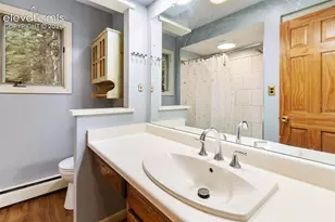 56 Blue Jay Ln, Divide, CO 80814 - Photo 38