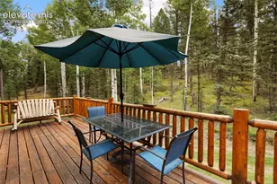 56 Blue Jay Ln, Divide, CO 80814 - Photo 14
