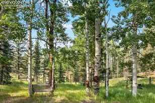 56 Blue Jay Ln, Divide, CO 80814 - Photo 46
