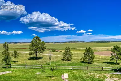 16325 Eastonville Road, Black Forest, CO 80106 - Photo 46