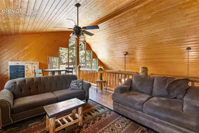 734 Kutsu Ridge Road, Florissant, CO 80816 - Photo 16