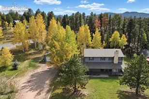 721 Sunnywood Pl, Woodland Park, CO 80863 - Photo 22