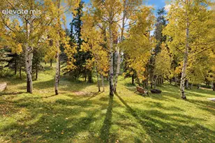 721 Sunnywood Pl, Woodland Park, CO 80863 - Photo 28
