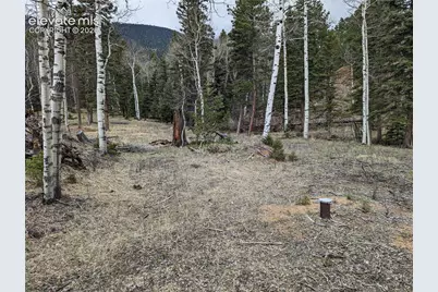 146 Waterfall Loop, Manitou Springs, CO 80829 - Photo 6