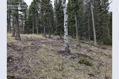 146 Waterfall Loop, Manitou Springs, CO 80829 - Photo 8