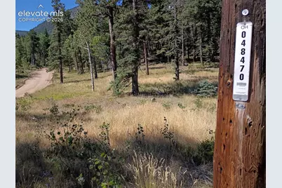 146 Waterfall Loop, Manitou Springs, CO 80829 - Photo 10