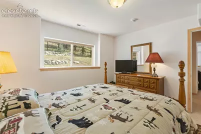 625 Sun Valley Drive, Woodland Park, CO 80863 - Photo 30