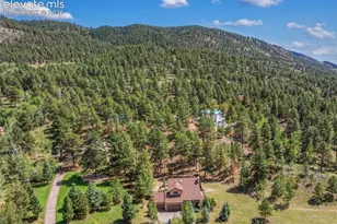 625 Sun Valley Dr, Woodland Park, CO 80863 - Photo 40