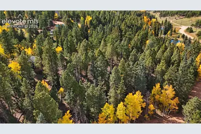 54 Spring Valley Lane, Florissant, CO 80816 - Photo 8