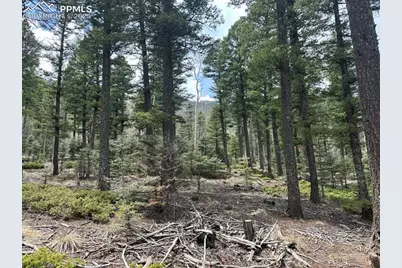 357 Big Horn Road, Manitou Springs, CO 80829 - Photo 8