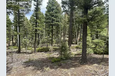 357 Big Horn Road, Manitou Springs, CO 80829 - Photo 6