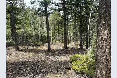 357 Big Horn Road, Manitou Springs, CO 80829 - Photo 2