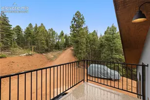 1489 Co Rd 25, Divide, CO 80814 - Photo 8