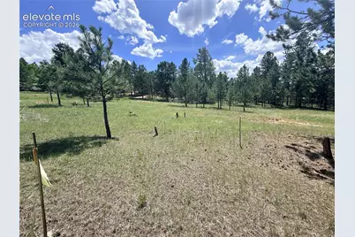 189 Rhyolite Lane, Florissant, CO 80816 - Photo 6
