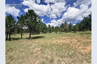 189 Rhyolite Lane, Florissant, CO 80816 - Photo 8