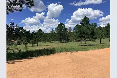 189 Rhyolite Lane, Florissant, CO 80816 - Photo 4
