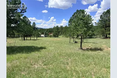 189 Rhyolite Lane, Florissant, CO 80816 - Photo 2