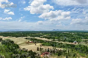 1471 Co Rd 51, Divide, CO 80814 - Photo 26