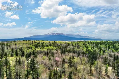 1471 County Road 51, Divide, CO 80814 - Photo 28