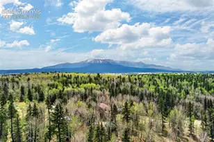 1471 Co Rd 51, Divide, CO 80814 - Photo 28