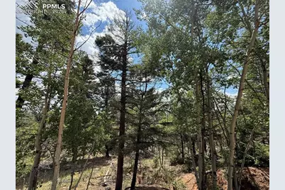 242 Apache Creek Drive, Florissant, CO 80816 - Photo 6