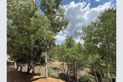 242 Apache Creek Drive, Florissant, CO 80816 - Photo 8