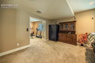 10713 Torreys Peak Way, Peyton, CO 80831 - Photo 34