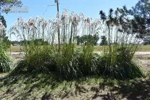 17651 Co Rd GG, Rocky Ford, CO 81067 - Photo 6