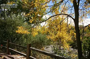 2609 Hatch Cir, Colorado Springs, CO 80918 - Photo 36