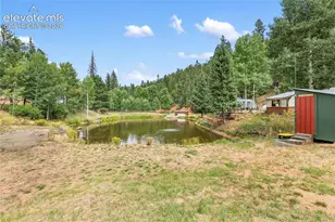 3912 Trout Creek Rd, Woodland Park, CO 80863 - Photo 44