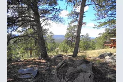 549 Circle Drive, Florissant, CO 80816 - Photo 30
