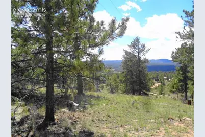 549 Circle Drive, Florissant, CO 80816 - Photo 10