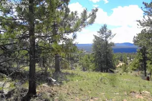 549 Circle Dr, Florissant, CO 80816 - Photo 10