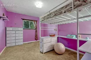 5050 Chickweed Dr, Colorado Springs, CO 80917 - Photo 26