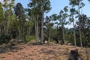 Fairview Dr, Cripple Creek, CO 80813 - Photo 1