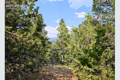 Fairview Drive, Cripple Creek, CO 80813 - Photo 2