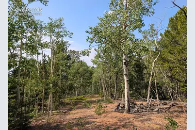 Fairview Drive, Cripple Creek, CO 80813 - Photo 8