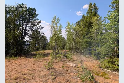 Fairview Drive, Cripple Creek, CO 80813 - Photo 14