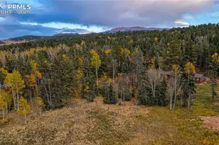 166 Denwood Dr, Florissant, CO 80816 - Photo 1