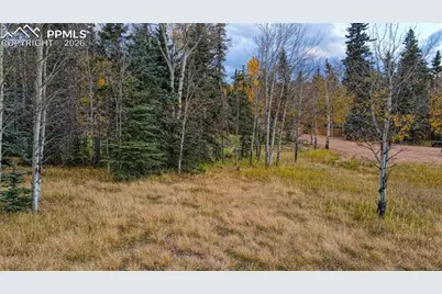 166 Denwood Drive, Florissant, CO 80816 - Photo 6