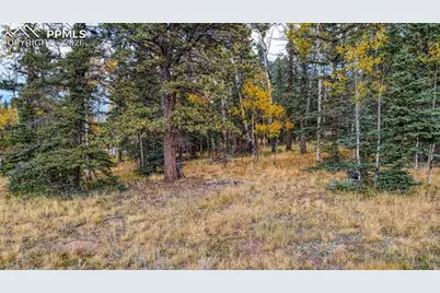 166 Denwood Drive, Florissant, CO 80816 - Photo 8